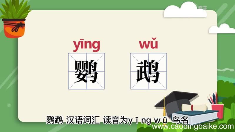 鹦鹉的意思 鹦鹉什么意思