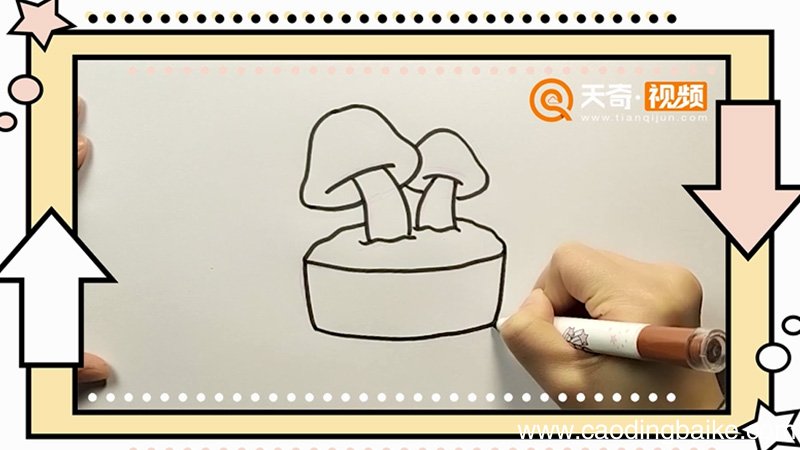 菌类盆栽简笔画