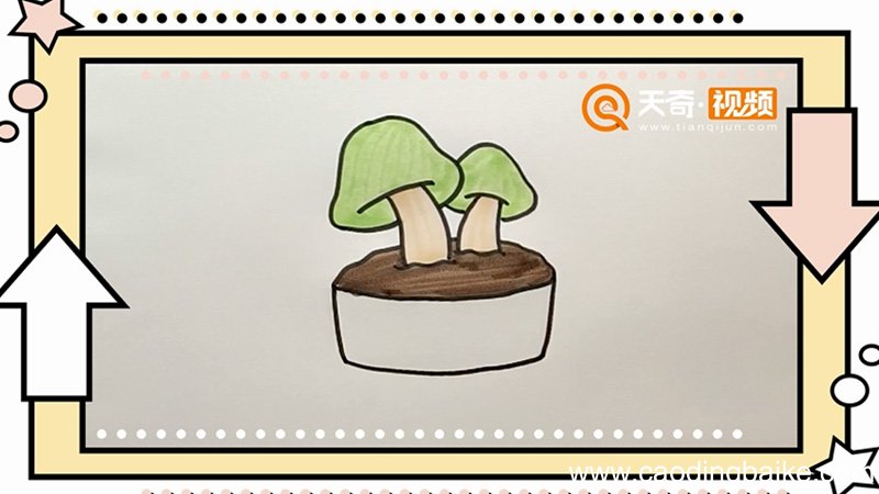 菌类盆栽简笔画