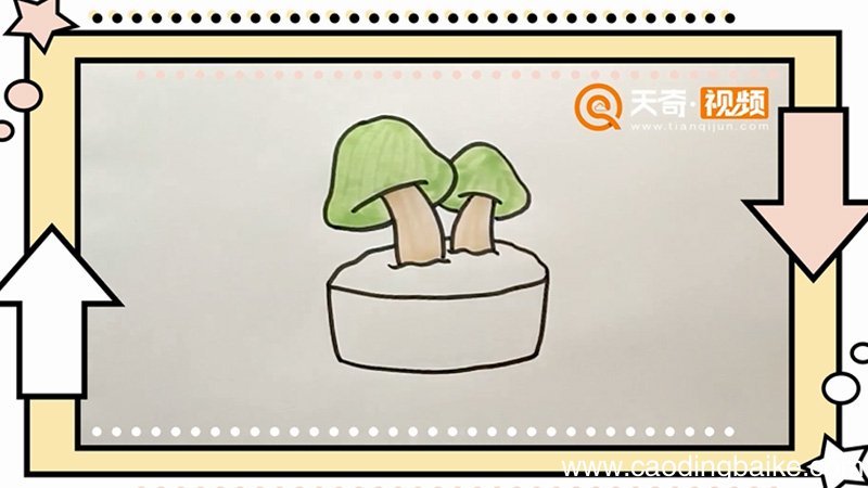 菌类盆栽简笔画