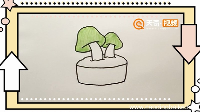 菌类盆栽简笔画
