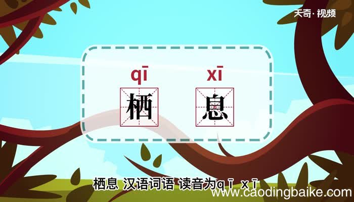 栖息的意思 栖息的意思是什么