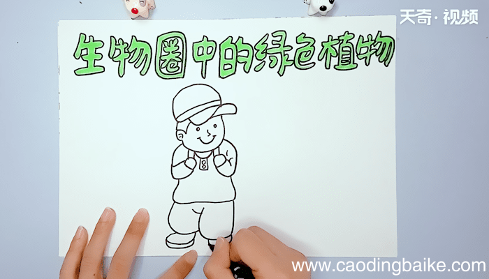 生物圈中的绿色植物手抄报 生物圈中的绿色植物手抄报画报