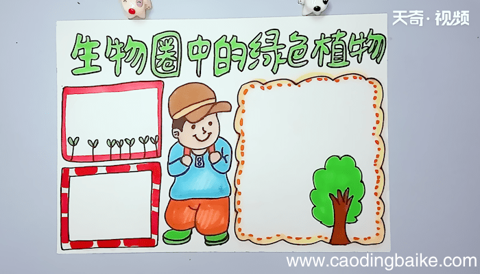 生物圈中的绿色植物手抄报 生物圈中的绿色植物手抄报画报