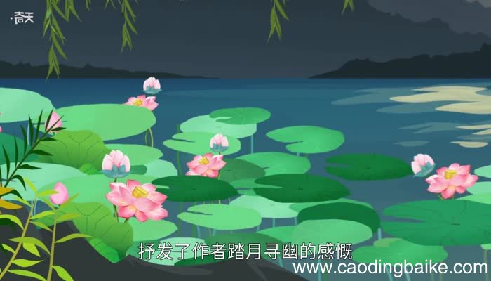 荷塘月色赏析 荷塘月色翻译