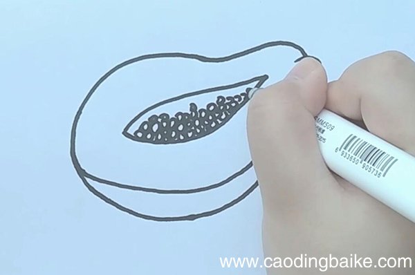 木瓜简笔画