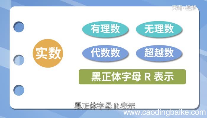 实数是什么什么是实数