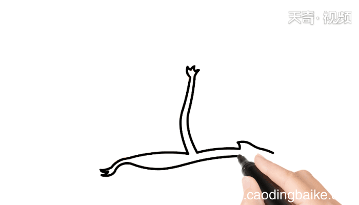 风神翼龙简笔画 风神翼龙简笔画怎么画