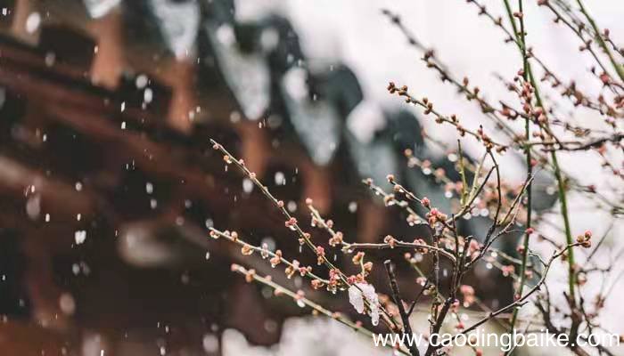 莲花池外少行人,野店苔痕一寸深全诗野店苔痕一寸深全诗翻译