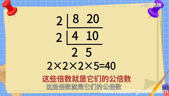 45和60的最小公倍数是多少 45和60的最小公倍数是几