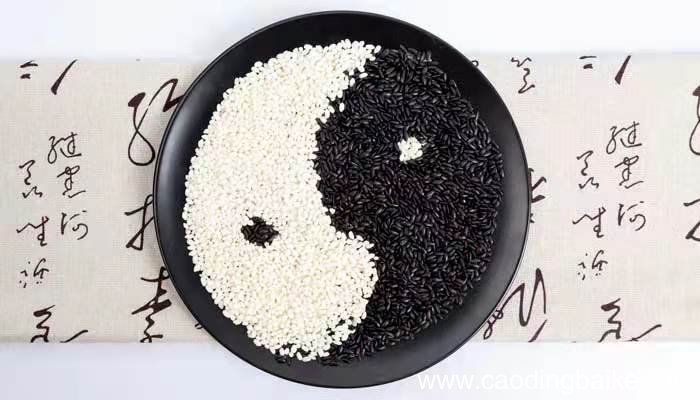 精气概念的产生是源于，精气概念的产生是源于什么