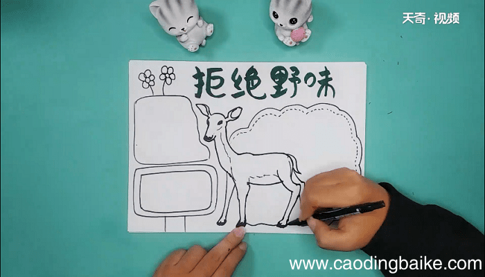禁止吃野生动物手抄报 禁止吃野生动物手抄画报