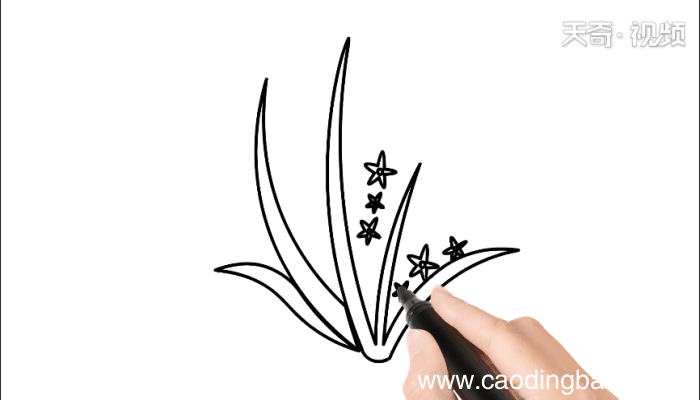 梅兰竹菊简笔画 梅兰竹菊简笔画怎么画
