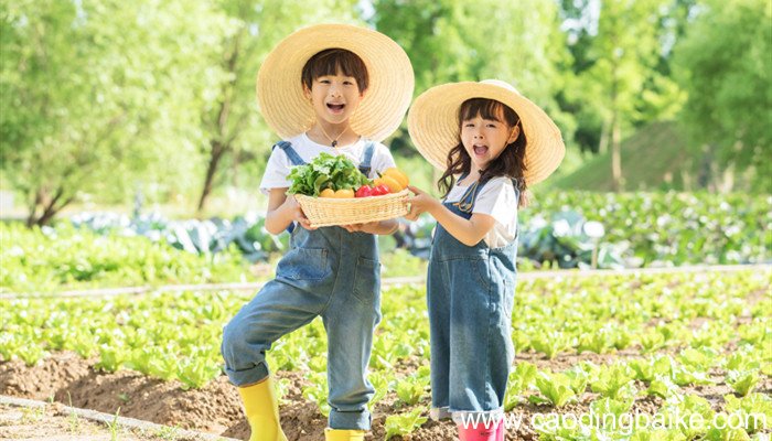 六一儿童节是怎么来的 六一儿童节是怎么来的故事