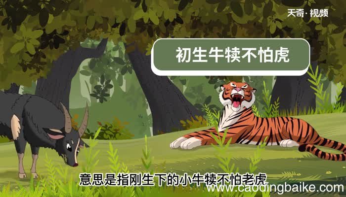 牛犊的意思 牛犊的解释