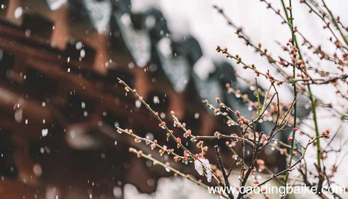 十里桃花的下一句是什么十里桃花的上一句是什么