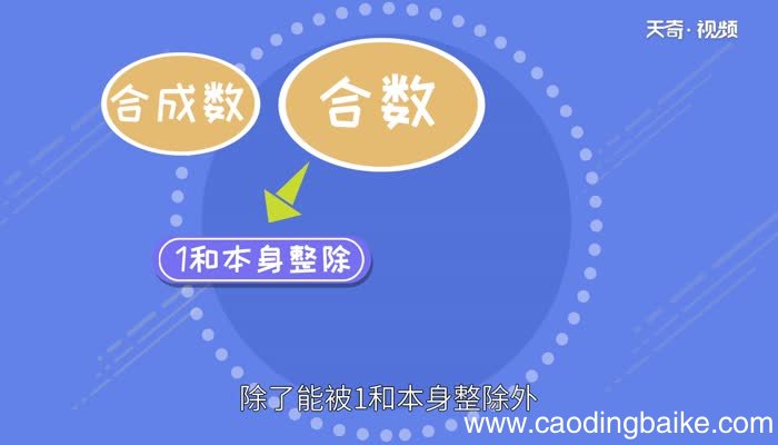 素数和合数的定义 质数和合数是什么
