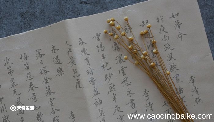鳍怎么读 鳍怎么读组词