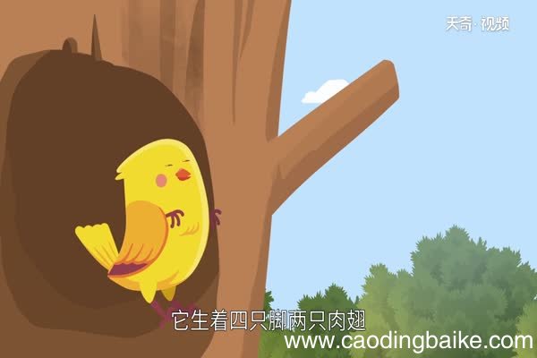 得过且过的故事