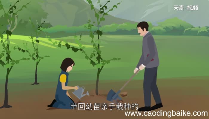 植树节来历和意义 植树节来历