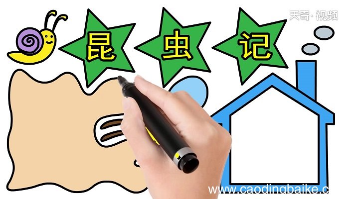 昆虫记手抄报 昆虫记手抄报怎么画