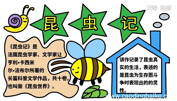 昆虫记手抄报 昆虫记手抄报怎么画