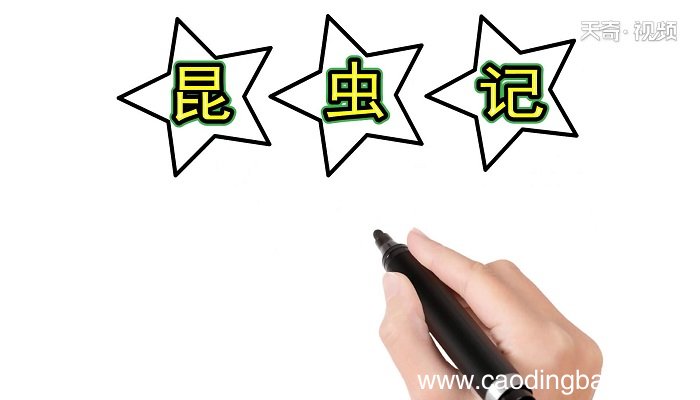 昆虫记手抄报 昆虫记手抄报怎么画