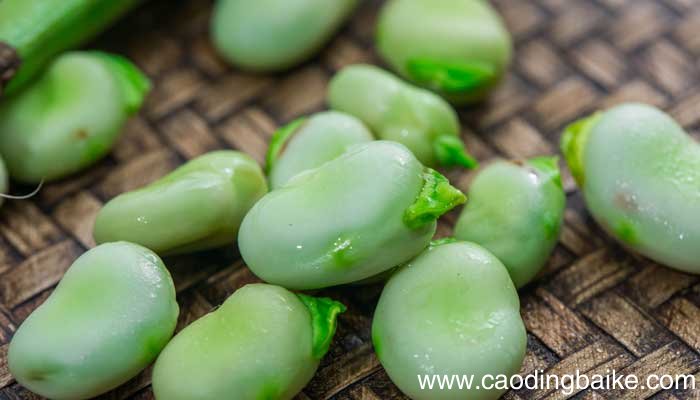 稻麦黍菽稷怎么念稻粱菽麦黍稷怎么念