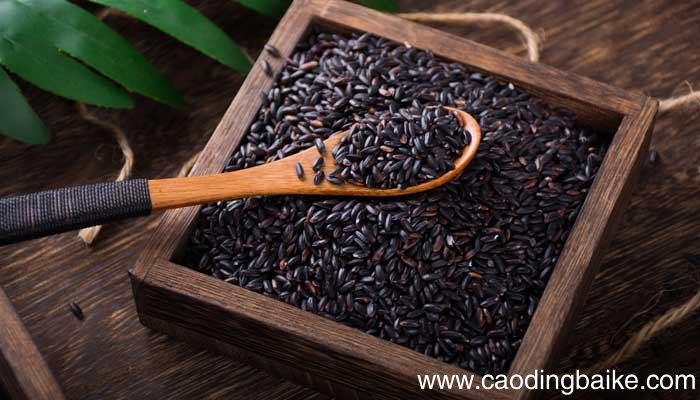 稻麦黍菽稷怎么念稻粱菽麦黍稷怎么念