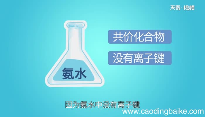 氨水是离子化合物吗 氨水是共价化合物还是离子化合物