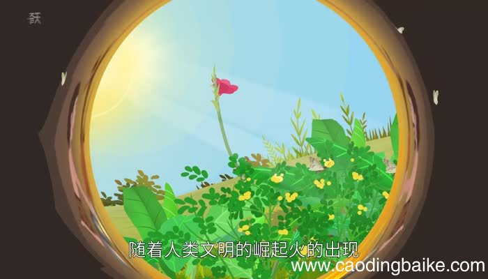飞蛾扑火歇后语飞蛾扑火歇后语答案