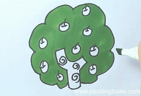 苹果树简笔画 苹果树简笔画画法步骤