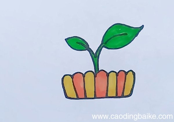 盆栽的简笔画盆栽怎么画