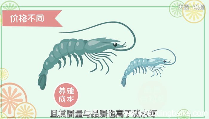 淡水虾和海水虾的区别 淡水虾和海水虾有何不同之处