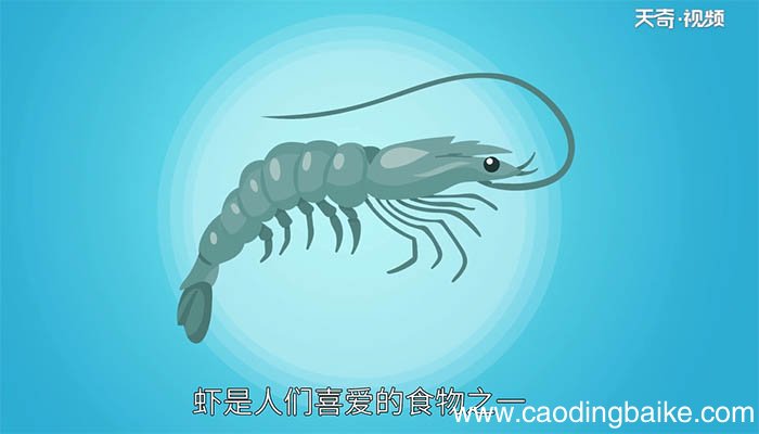 淡水虾和海水虾的区别 淡水虾和海水虾有何不同之处