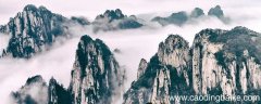 苏幕遮赏析 范仲淹苏幕遮赏析