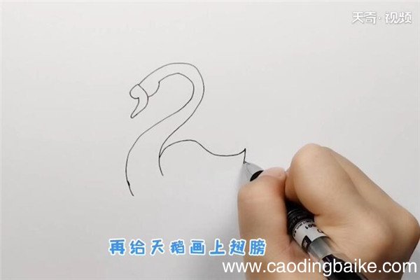 鹅简笔画