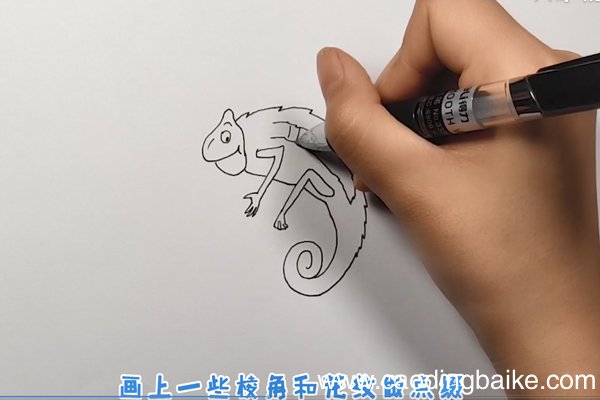 变色龙简笔画