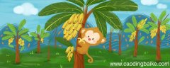 马上小猴明白了什么道理 马上小猴明白了什么道理答案