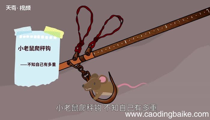 老鼠钻进风箱里歇后语 老鼠钻进风箱里的后半句是