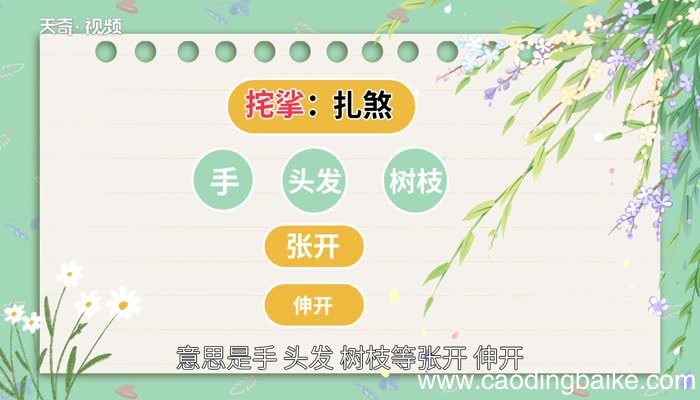 挓挲的意思 挓挲的解释