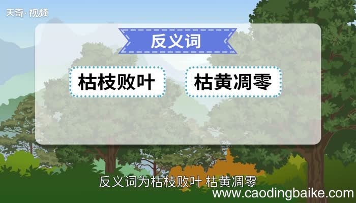 绿树成荫的意思 绿树成荫的出处