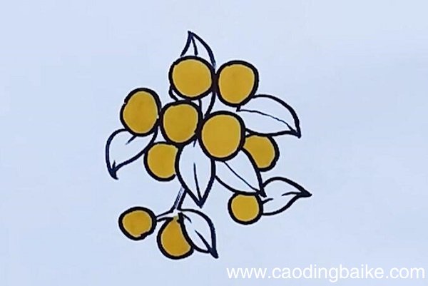 枇杷简笔画 枇杷简笔画教程