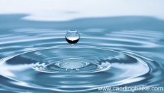 水是人体不可缺少的组成部分约占成人体重的多少 水是人体不可
