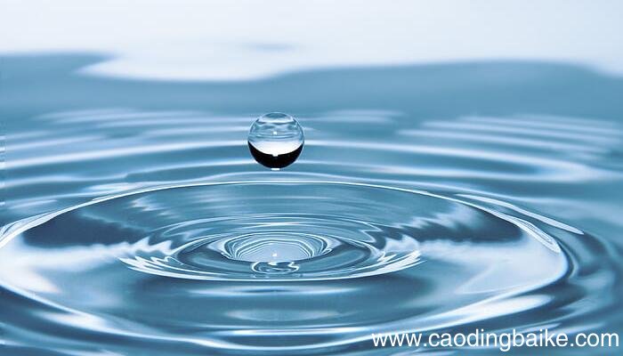 水是人体不可缺少的组成部分约占成人体重的多少 水是人体不可缺少的组成部分约占成人体重的比值是几