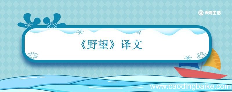 野望译文 野望译文王绩
