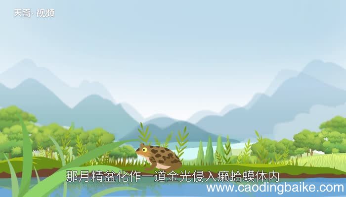 癞**想吃天鹅肉歇后语 癞**想吃天鹅肉歇后语下一句