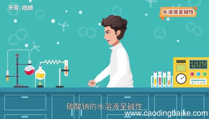 碳酸钠的相对分子质量碳酸钠的分子质量分数
