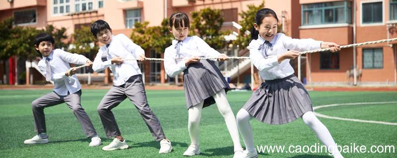 新颖的小学社团活动有哪些 有趣的小学社团活动有哪些