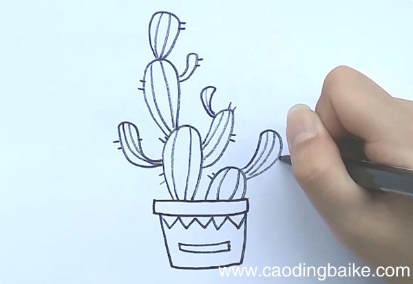 仙人掌简笔画 仙人掌简笔画带颜色
